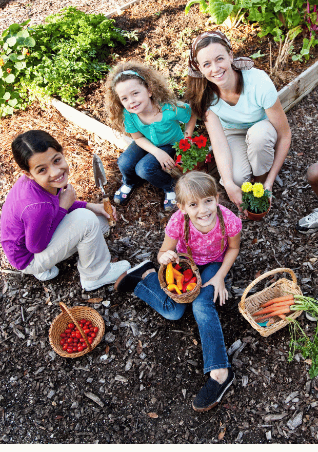 Reggio Curriculum Preschool
